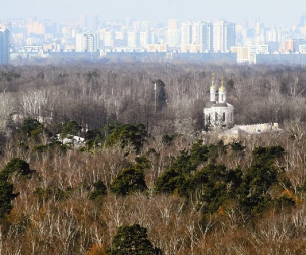 Влахернская жемчужина